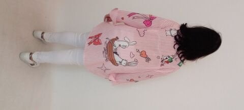 İtalyan Çizgili Poplin Gömlek Animal Aplikeli - Pembe