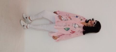 İtalyan Çizgili Poplin Gömlek Animal Aplikeli - Pembe