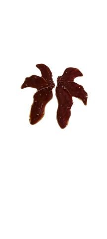 Kahve Kuş Modeli Büyük Küpe